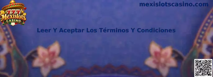 Guía para revisar y aceptar los términos y condiciones de Mexislots Casino antes de completar el registro